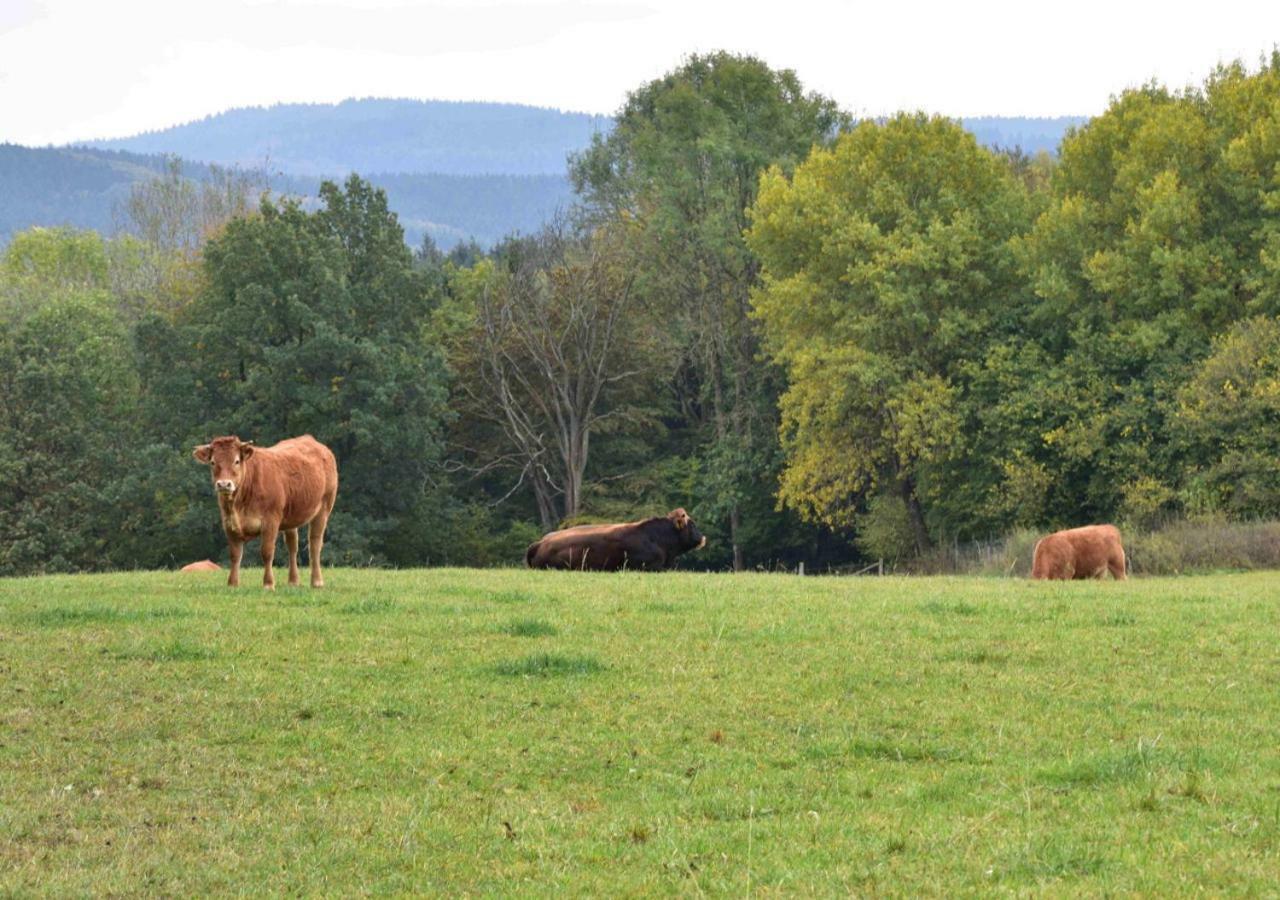Ferienhaus Vulkaneifel Kopp מראה חיצוני תמונה